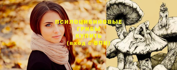 стафф Лагань