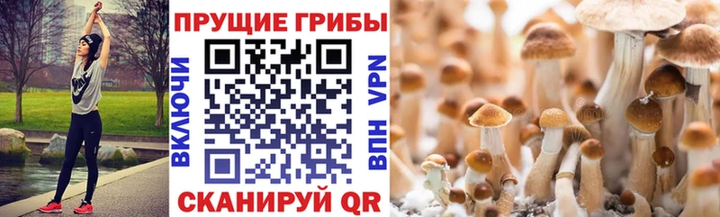 Галлюциногенные грибы ЛСД  мориарти Telegram  Медвежьегорск  mega  